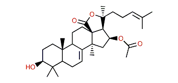 Philinopgenin C